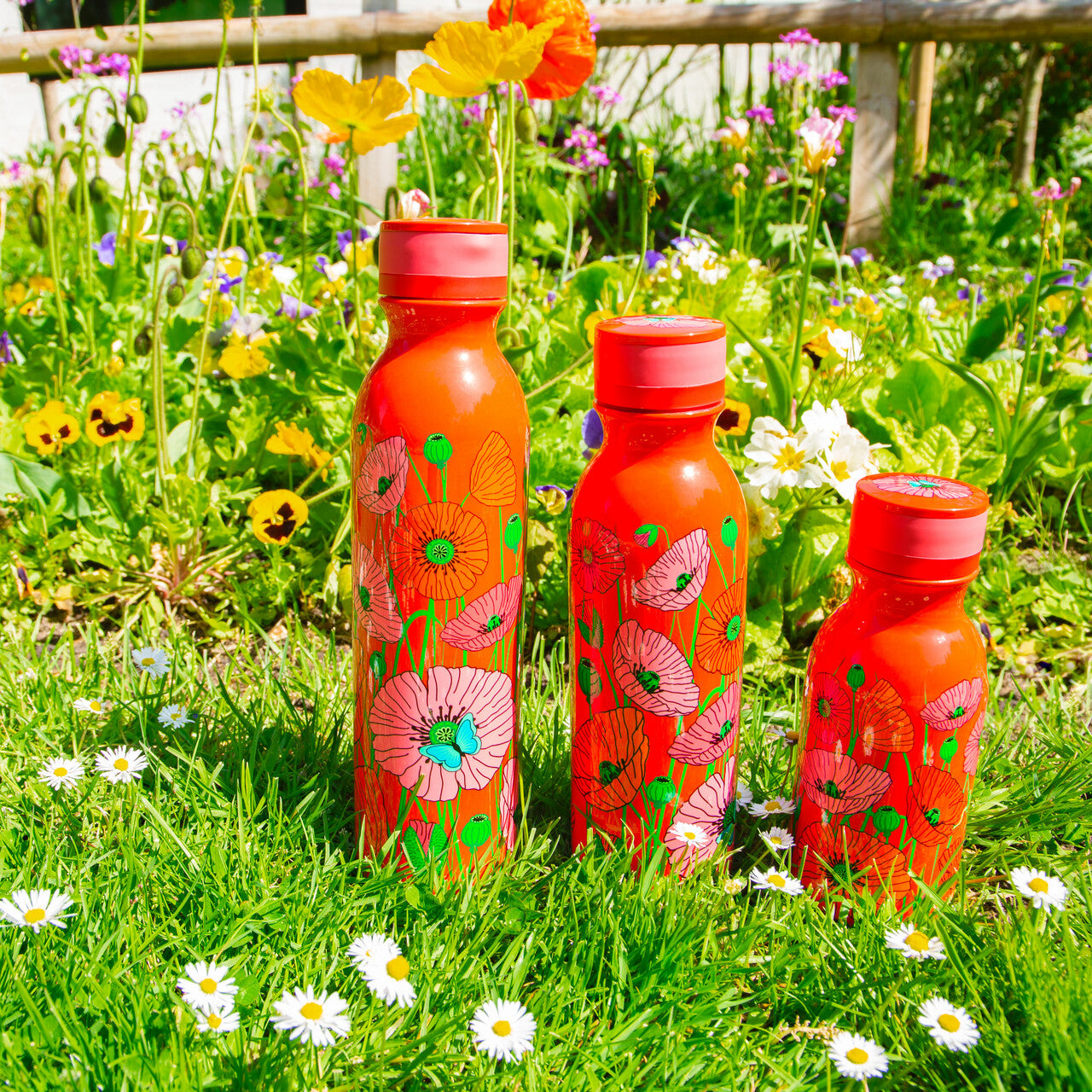 Coquelicots Termos Medium