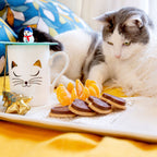 White Cat Kupa Bardak