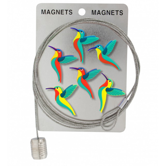 Pylones Fotoğraf Askı Kablosu Ve Mıknatıslar - Magnetic Cable