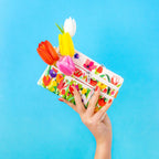 Pylones 3 Fermuarlı Çanta - Zip It - Tulipes