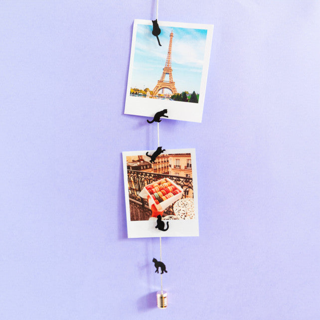 Kediler Fotoğraf Tutucu Magnet