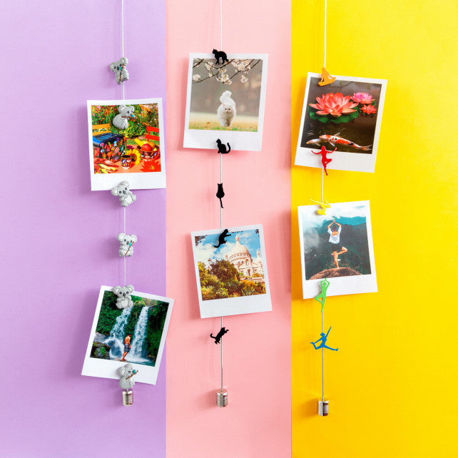 Kediler Fotoğraf Tutucu Magnet