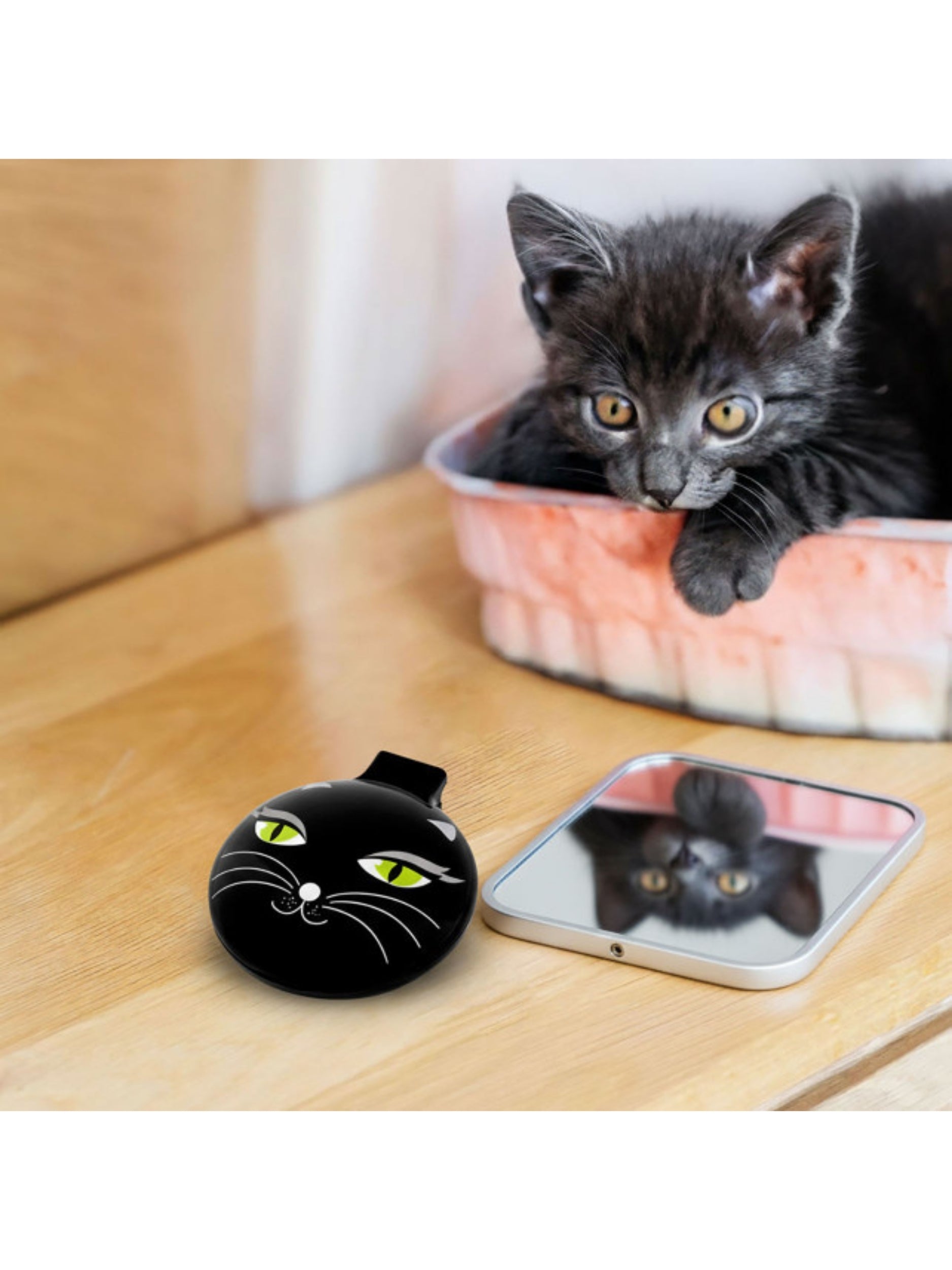 Siyah Kedi Aynalı