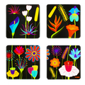 Jardin Fleuri Bardak Altlığı