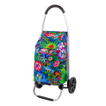 Pylones Alışveriş Arabası - Trolly - Fleurs d'eau