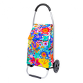 Pylones Alışveriş Arabası - Trolly - Bouquet