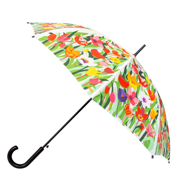 Pylones Şemsiye Rainbeau - Tulipes
